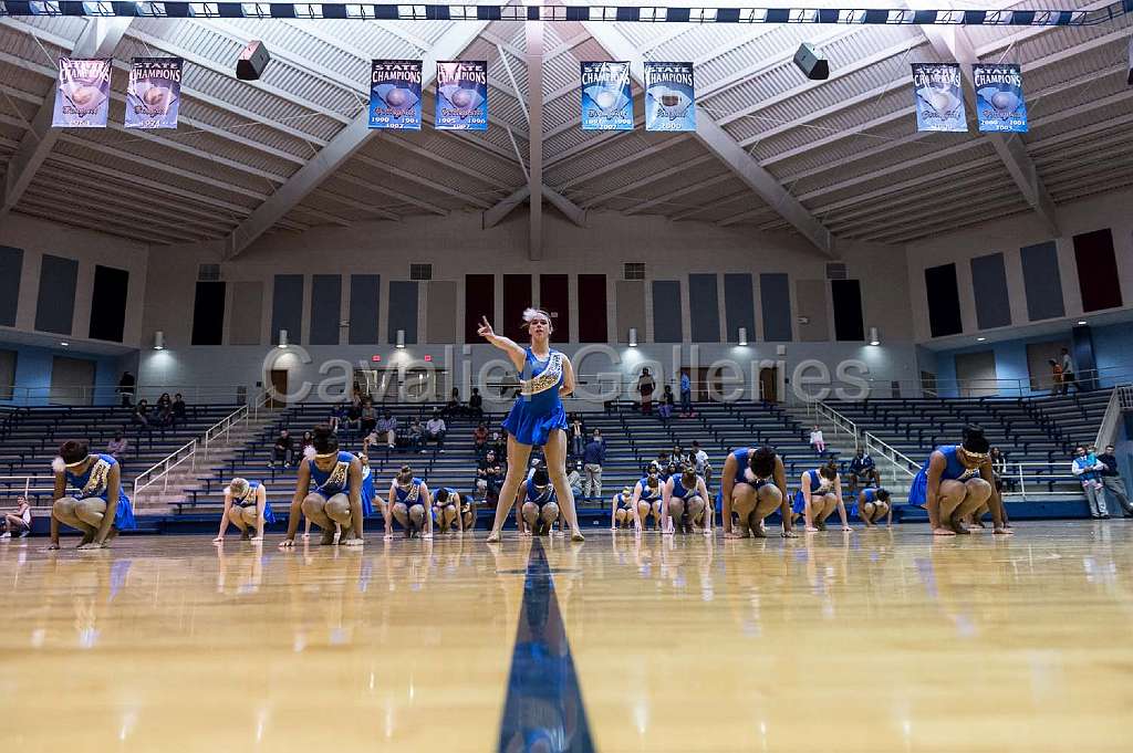 Blue Belles Halftime 3.jpg